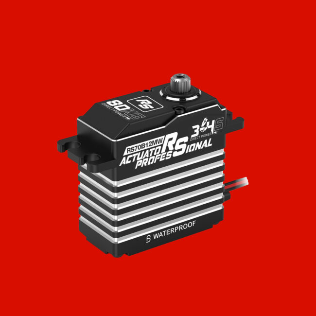 Large Servo - RS SERVO